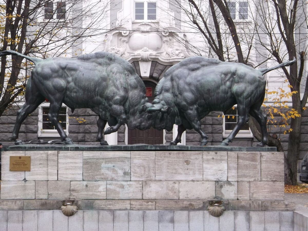 The two bulls by the fleet headquarters